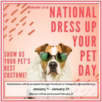 dress up your pet contest